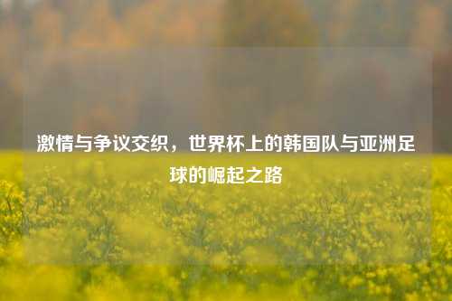 激情与争议交织，世界杯上的韩国队与亚洲足球的崛起之路