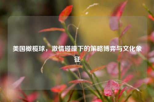 美国橄榄球，激情碰撞下的策略博弈与文化象征
