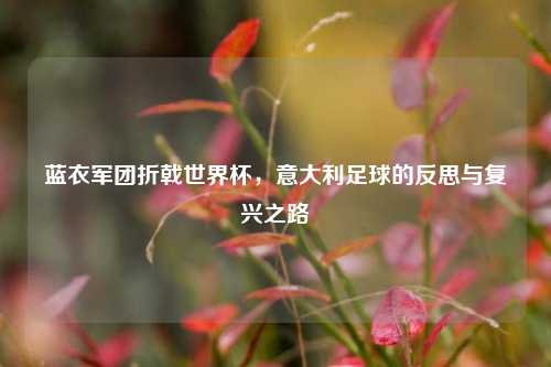 蓝衣军团折戟世界杯，意大利足球的反思与复兴之路