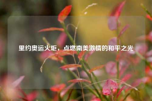 里约奥运火炬，点燃南美激情的和平之光