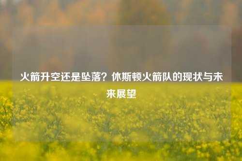 火箭升空还是坠落？休斯顿火箭队的现状与未来展望
