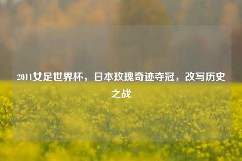 2011女足世界杯，日本玫瑰奇迹夺冠，改写历史之战