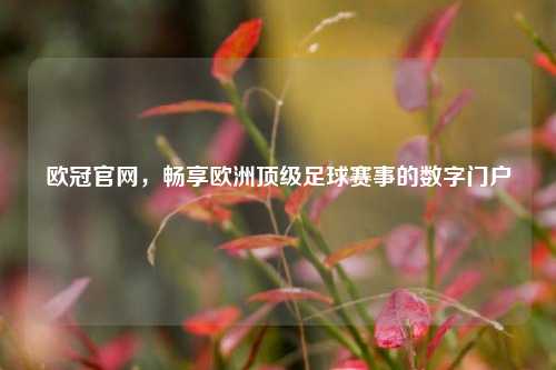欧冠官网，畅享欧洲顶级足球赛事的数字门户