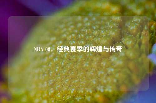 NBA 08，经典赛季的辉煌与传奇