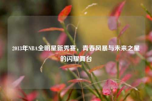 2013年NBA全明星新秀赛，青春风暴与未来之星的闪耀舞台