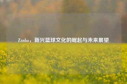Zznba，新兴篮球文化的崛起与未来展望