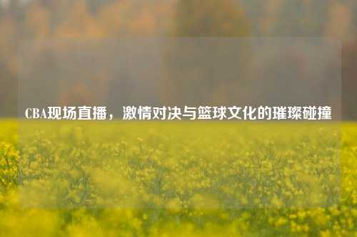 CBA现场直播，激情对决与篮球文化的璀璨碰撞