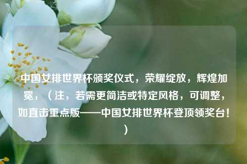 中国女排世界杯颁奖仪式，荣耀绽放，辉煌加冕，（注，若需更简洁或特定风格，可调整，如直击重点版——中国女排世界杯登顶领奖台！）