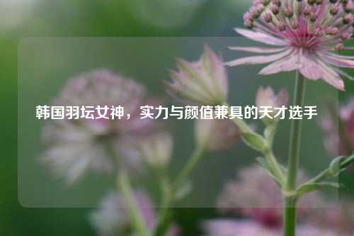 韩国羽坛女神，实力与颜值兼具的天才选手