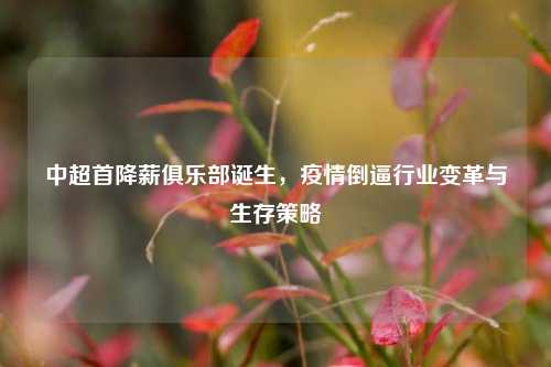 中超首降薪俱乐部诞生，疫情倒逼行业变革与生存策略