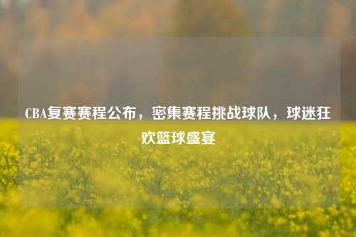 CBA复赛赛程公布,密集赛程挑战球队,球迷狂欢篮球盛宴