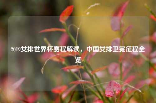 2019女排世界杯赛程解读,中国女排卫冕征程全览