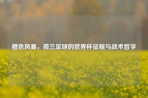 橙色风暴,荷兰足球的世界杯征程与战术哲学