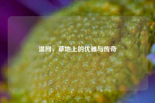 温网,草地上的优雅与传奇