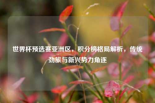 世界杯预选赛亚洲区,积分榜格局解析,传统劲旅与新兴势力角逐