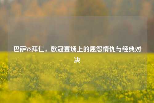 巴萨VS拜仁,欧冠赛场上的恩怨情仇与经典对决