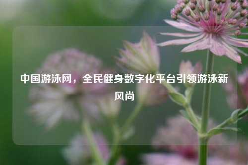 中国游泳网,全民健身数字化平台引领游泳新风尚