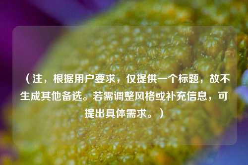 (注,根据用户要求,仅提供一个标题,故不生成其他备选。若需调整风格或补充信息,可提出具体需求。)