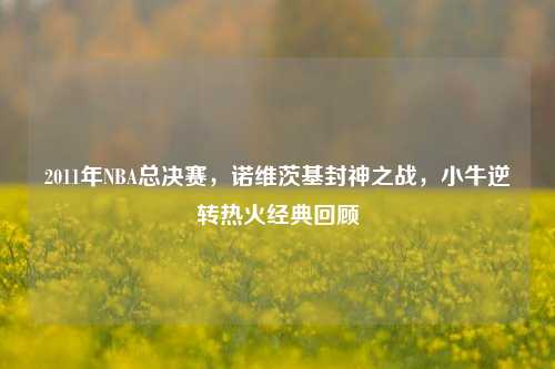 2011年NBA总决赛,诺维茨基封神之战,小牛逆转热火经典回顾