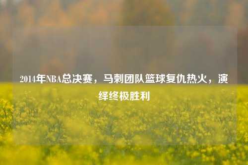 2014年NBA总决赛,马刺团队篮球复仇热火,演绎终极胜利