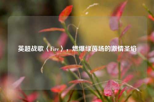 英超战歌〈Fire〉,燃爆绿茵场的激情圣焰
