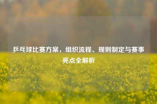 乒乓球比赛方案,组织流程、规则制定与赛事亮点全解析