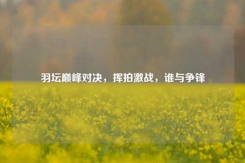 羽坛巅峰对决，挥拍激战，谁与争锋