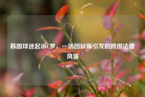 韩国球迷起诉C罗,一场因缺席引发的跨国法律风波