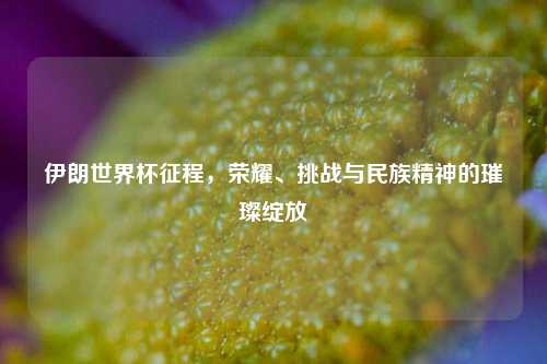 伊朗世界杯征程,荣耀、挑战与民族精神的璀璨绽放