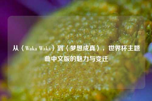 从〈Waka Waka〉到〈梦想成真〉,世界杯主题曲中文版的魅力与变迁