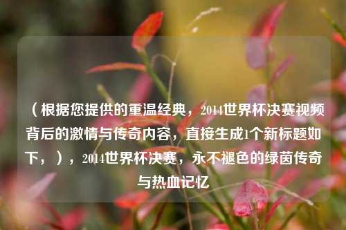 (根据您提供的重温经典,2014世界杯决赛视频背后的激情与传奇内容,直接生成1个新标题如下,),2014世界杯决赛,永不褪色的绿茵传奇与热血记忆