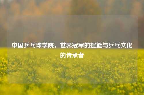 中国乒乓球学院,世界冠军的摇篮与乒乓文化的传承者