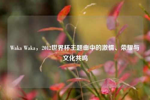 Waka Waka,2012世界杯主题曲中的激情、荣耀与文化共鸣