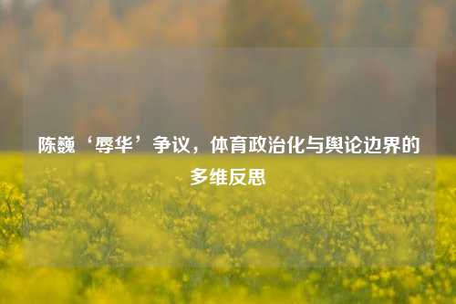 陈巍‘辱华’争议,体育政治化与舆论边界的多维反思