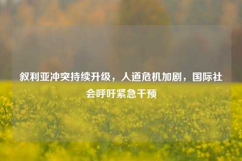 叙利亚冲突持续升级,人道危机加剧,国际社会呼吁紧急干预