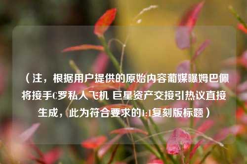 (注,根据用户提供的原始内容葡媒曝姆巴佩将接手C罗私人飞机 巨星资产交接引热议直接生成,此为符合要求的1:1复刻版标题)