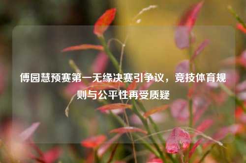 傅园慧预赛第一无缘决赛引争议,竞技体育规则与公平性再受质疑
