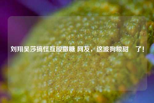 刘翔吴莎搞怪互殴撒糖 网友,这波狗粮甜齁了!