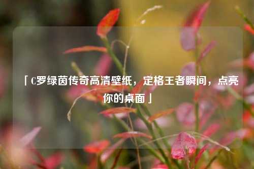 「C罗绿茵传奇高清壁纸,定格王者瞬间,点亮你的桌面」