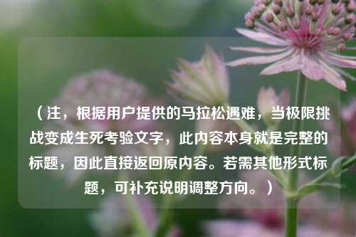 (注,根据用户提供的马拉松遇难,当极限挑战变成生死考验文字,此内容本身就是完整的标题,因此直接返回原内容。若需其他形式标题,可补充说明调整方向。)