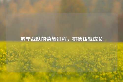 苏宁战队的荣耀征程,拼搏铸就成长