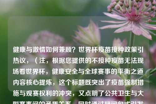 健康与激情如何兼顾?世界杯疫苗接种政策引热议,(注,根据您提供的不接种疫苗无法现场看世界杯,健康安全与全球赛事的平衡之道内容核心提炼,这个标题既突出了疫苗强制措施与观赛权利的冲突,又点明了公共卫生与大型赛事间的矛盾关系,同时通过疑问句式引发读者思考,符合新闻传播的悬念性和讨论价值。)