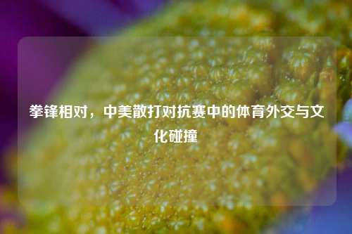 拳锋相对，中美散打对抗赛中的体育外交与文化碰撞