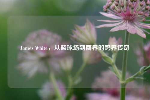James White,从篮球场到商界的跨界传奇