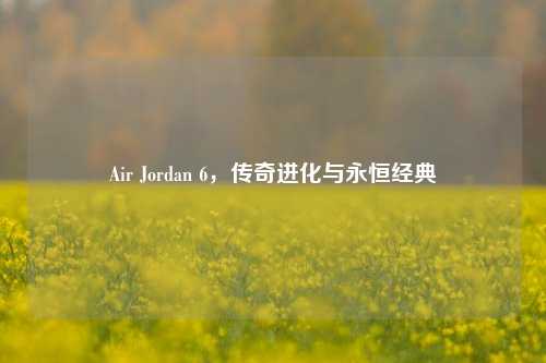 Air Jordan 6,传奇进化与永恒经典