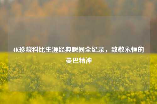 4K珍藏科比生涯经典瞬间全纪录,致敬永恒的曼巴精神