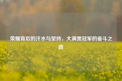 荣耀背后的汗水与坚持,大满贯冠军的奋斗之路