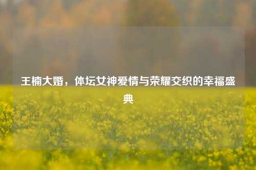 王楠大婚，体坛女神爱情与荣耀交织的幸福盛典
