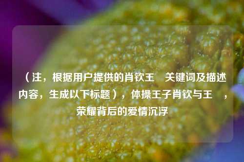 (注,根据用户提供的肖钦王媞关键词及描述内容,生成以下标题),体操王子肖钦与王媞,荣耀背后的爱情沉浮
