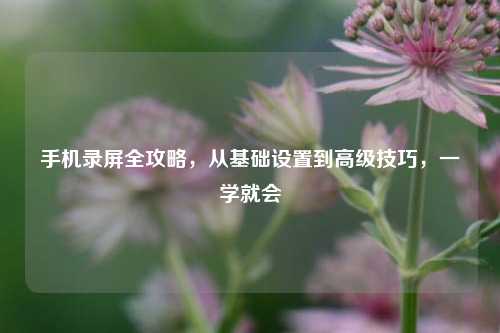 手机录屏全攻略，从基础设置到高级技巧，一学就会